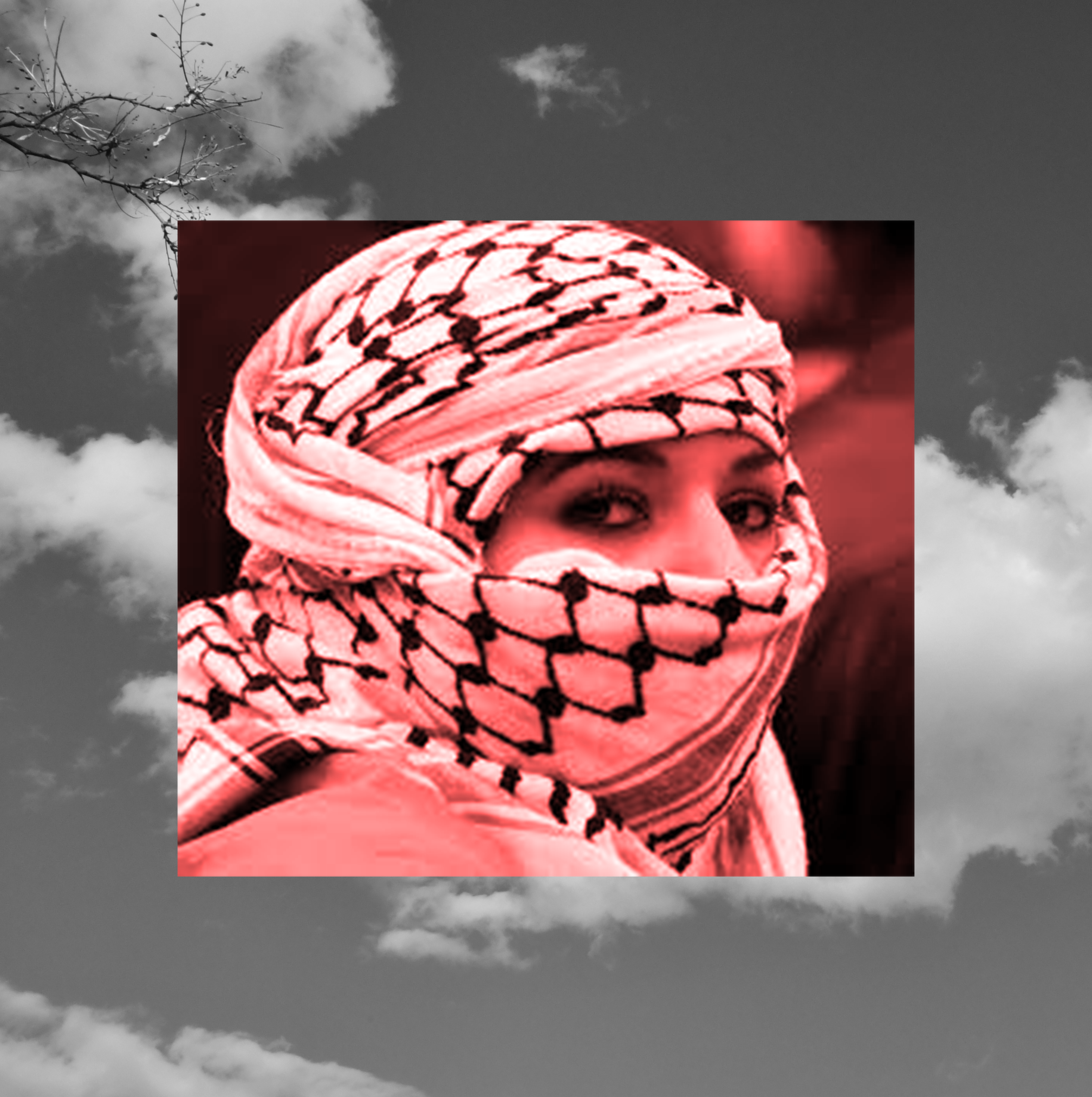 El Sumud: la resistencia Palestina en todos los frentes